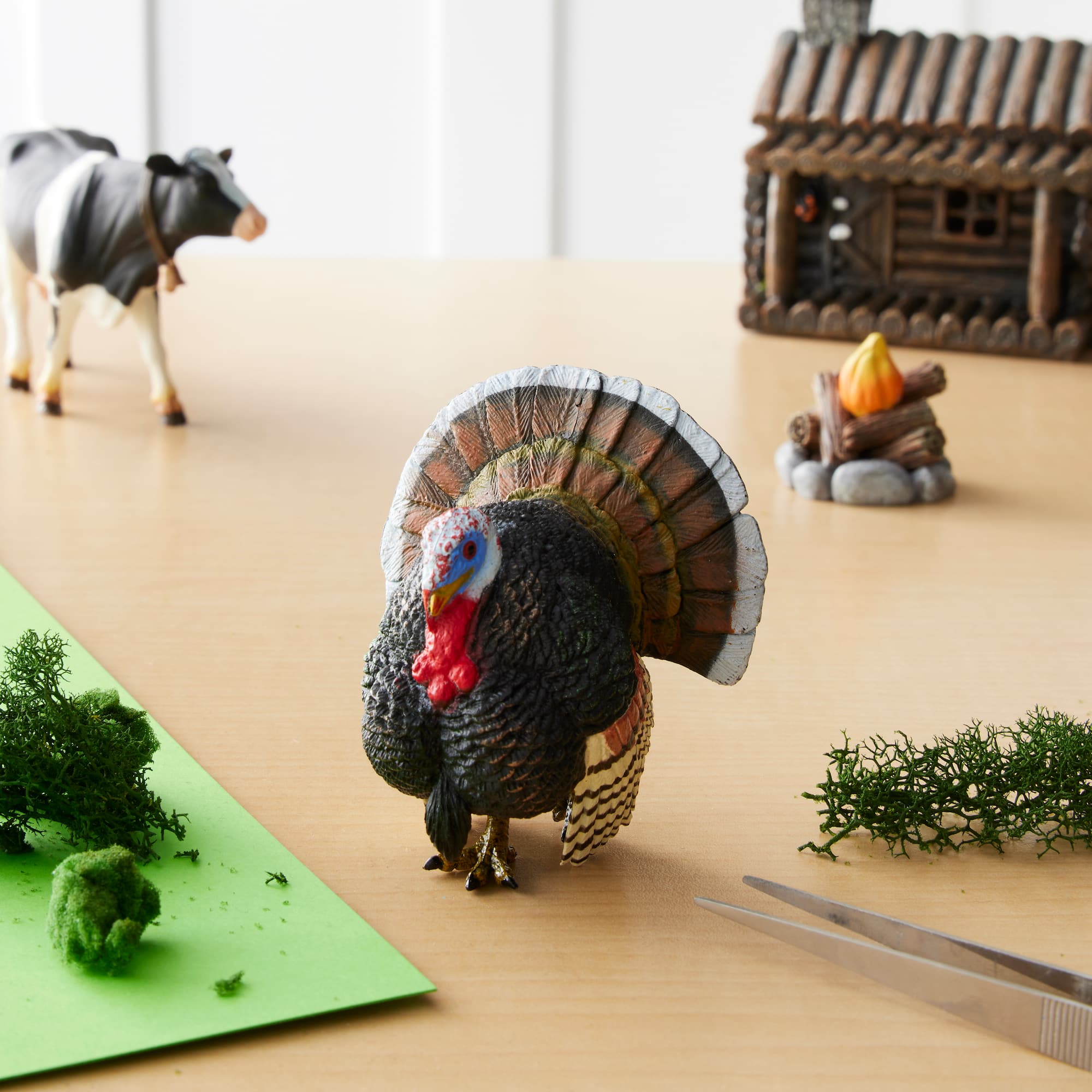 Safari Ltd® Turkey